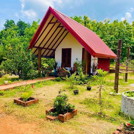 Sigiri Enaya Cottage Sigiriya Exterior foto
